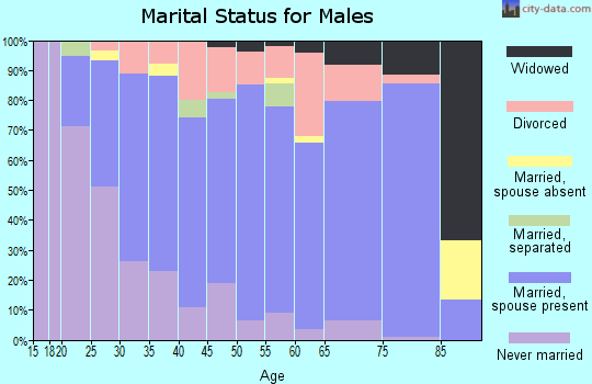Zip code 16950 marital status for males