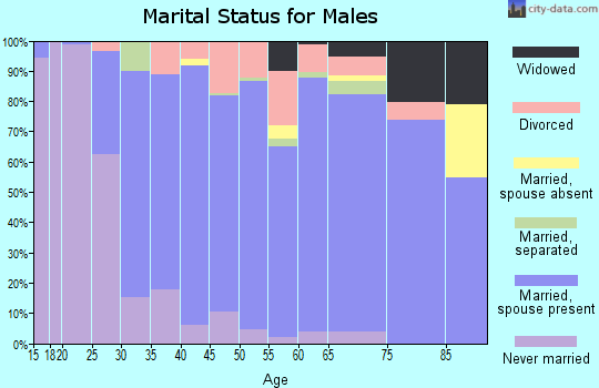 Zip code 17003 marital status for males