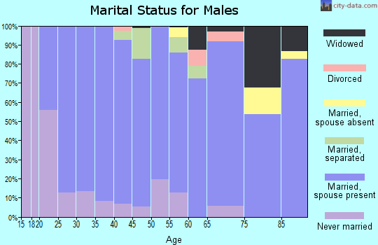 Zip code 17004 marital status for males