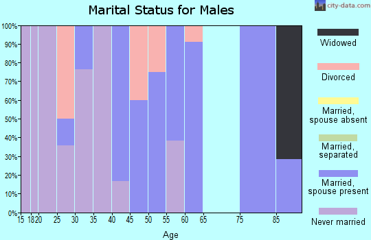 Zip code 17005 marital status for males