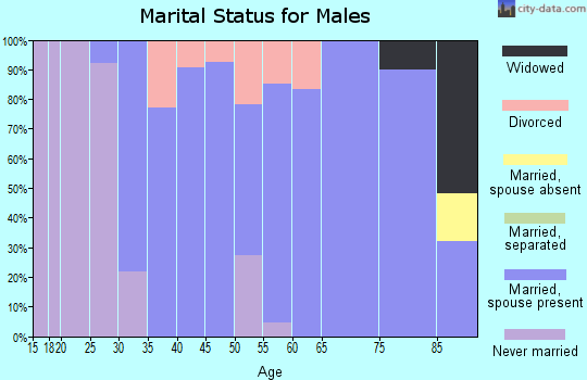 Zip code 17007 marital status for males