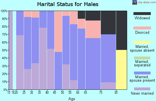 Zip code 17009 marital status for males