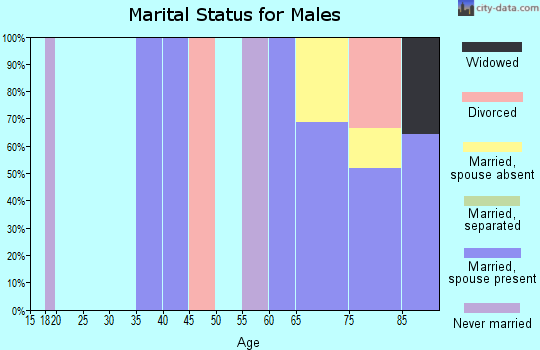 Zip code 17016 marital status for males