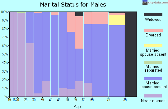 Zip code 17018 marital status for males
