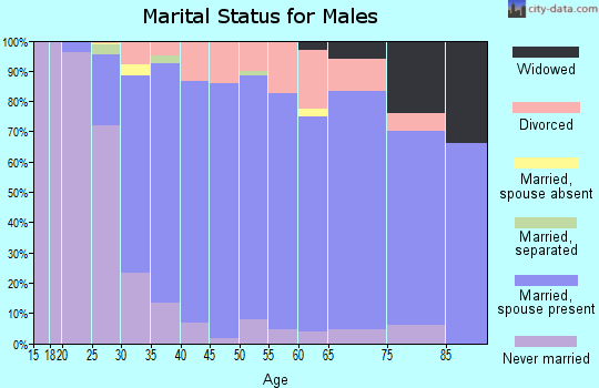 Zip code 17019 marital status for males