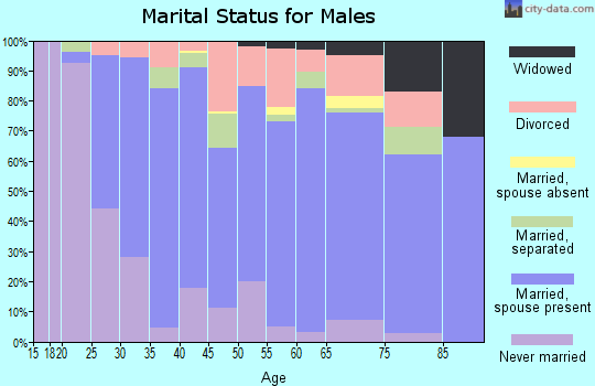 Zip code 17020 marital status for males