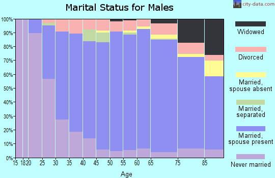 Zip code 17022 marital status for males