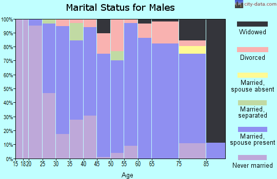 Zip code 17023 marital status for males