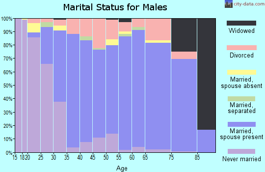 Zip code 17025 marital status for males