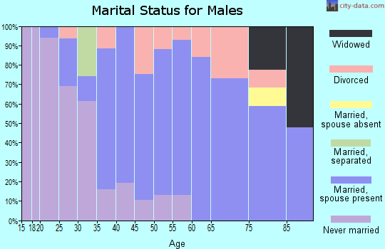 Zip code 17026 marital status for males