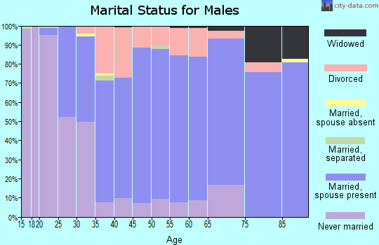 Zip code 17032 marital status for males