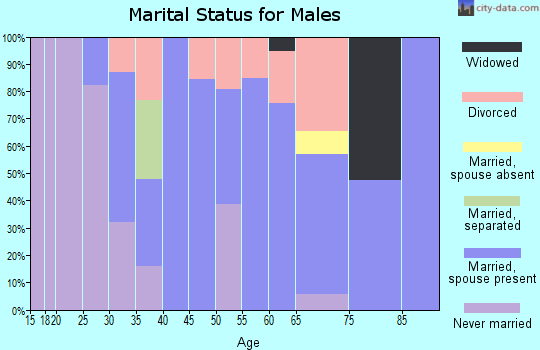 Zip code 17034 marital status for males