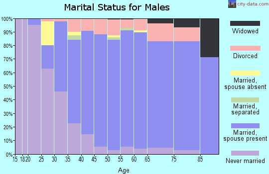 Zip code 17036 marital status for males