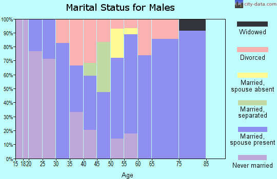Zip code 17037 marital status for males
