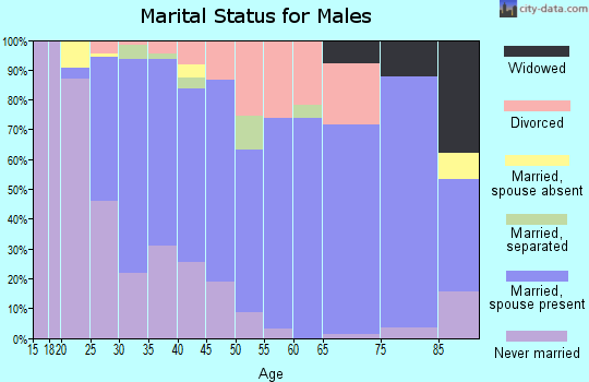 Zip code 17038 marital status for males