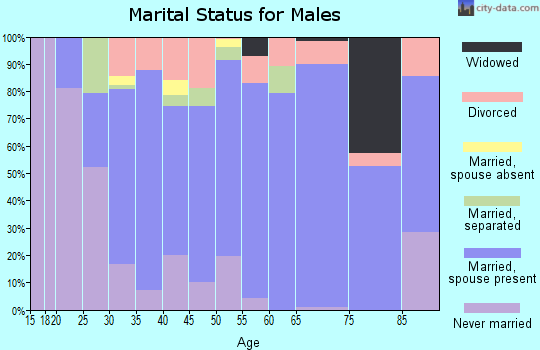 Zip code 17040 marital status for males