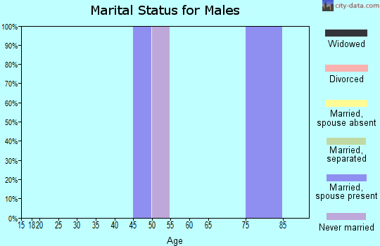 Zip code 17041 marital status for males