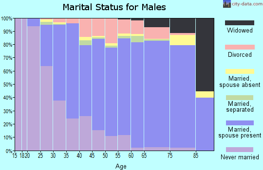 Zip code 17042 marital status for males