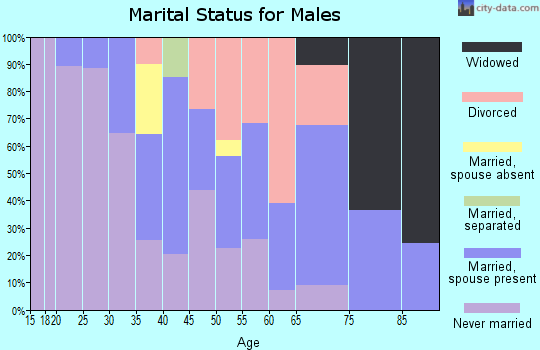 Zip code 17043 marital status for males