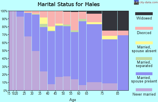 Zip code 17046 marital status for males