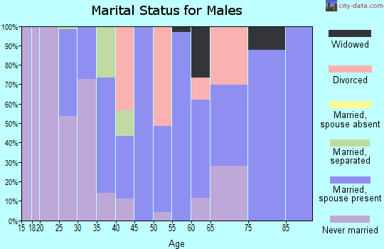 Zip code 17049 marital status for males