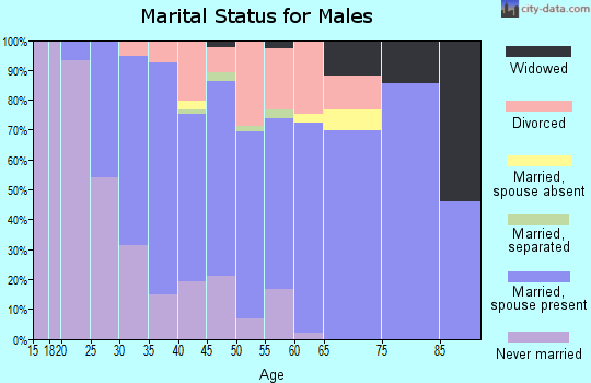 Zip code 17053 marital status for males