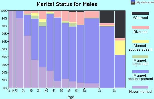 Zip code 17055 marital status for males