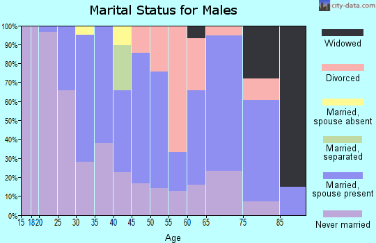 Zip code 17058 marital status for males