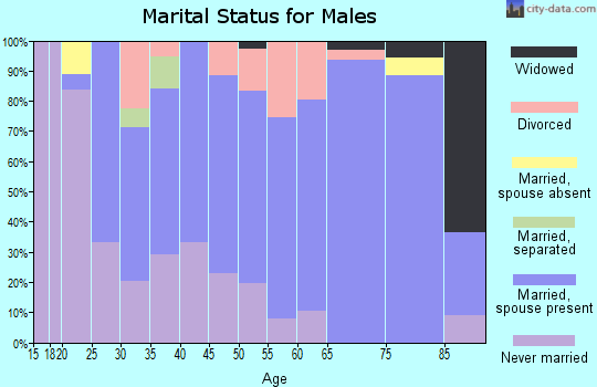 Zip code 17060 marital status for males