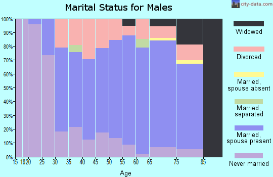 Zip code 17061 marital status for males