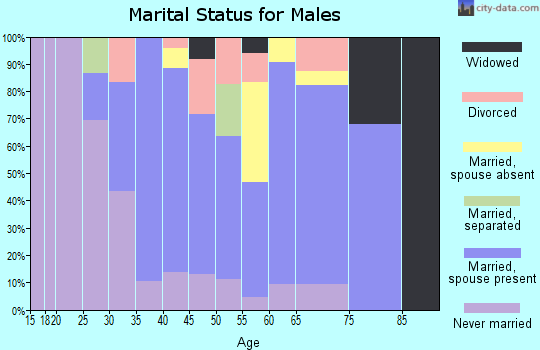 Zip code 17063 marital status for males