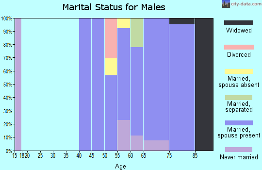 Zip code 17064 marital status for males