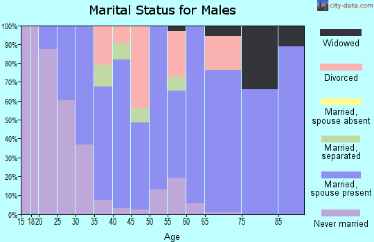 Zip code 17065 marital status for males