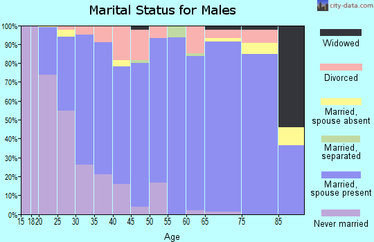 Zip code 17067 marital status for males