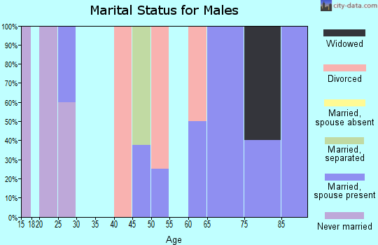 Zip code 17069 marital status for males
