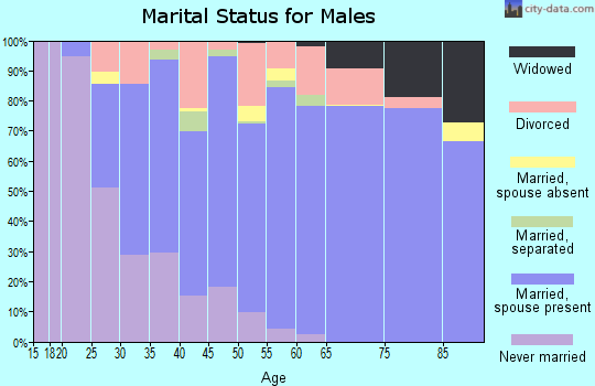 Zip code 17070 marital status for males