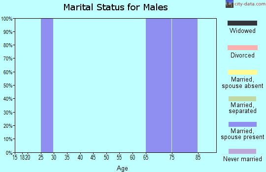 Zip code 17072 marital status for males