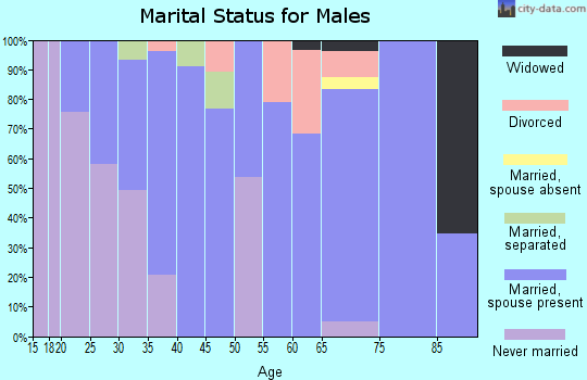 Zip code 17073 marital status for males