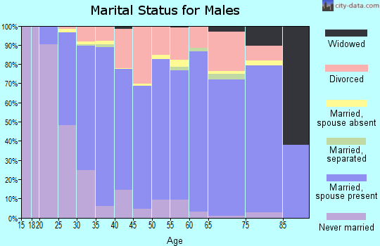 Zip code 17074 marital status for males