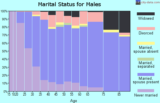 Zip code 17078 marital status for males