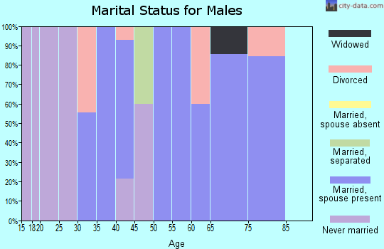 Zip code 17080 marital status for males