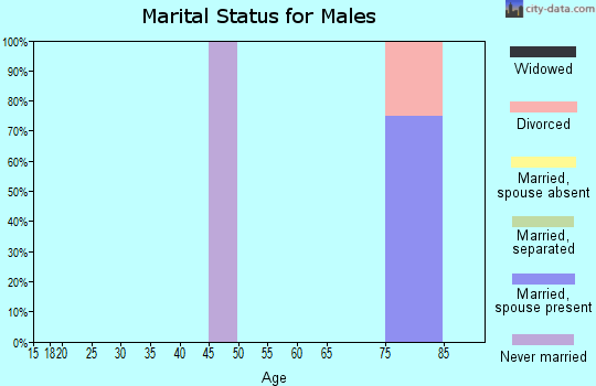Zip code 17081 marital status for males