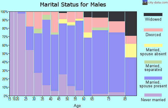 Zip code 17082 marital status for males