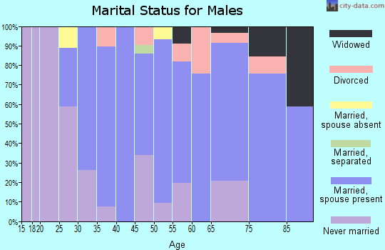 Zip code 17084 marital status for males
