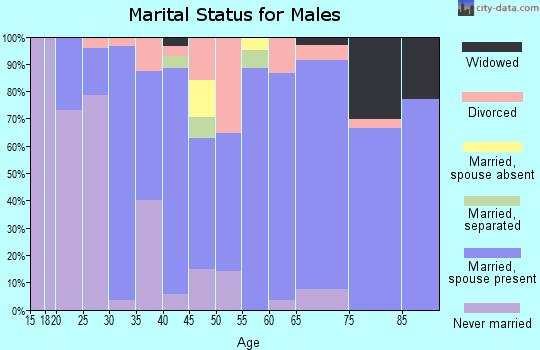 Zip code 17086 marital status for males