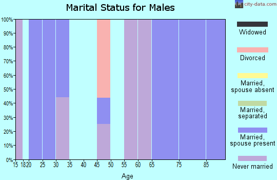 Zip code 17088 marital status for males
