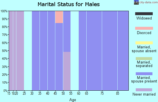 Zip code 17093 marital status for males