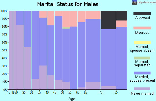 Zip code 17094 marital status for males