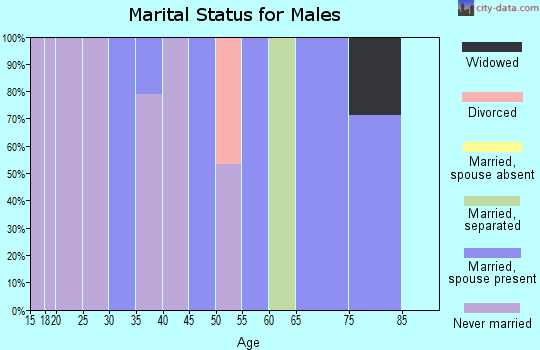 Zip code 17099 marital status for males