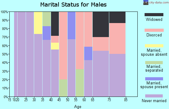 Zip code 17101 marital status for males